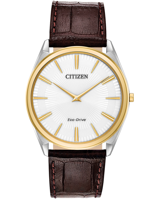Citizen Eco-Drive Gents Stiletto Watch AR3074-03A